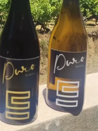 Garrafa de vinho Souto Escuro Puro branco